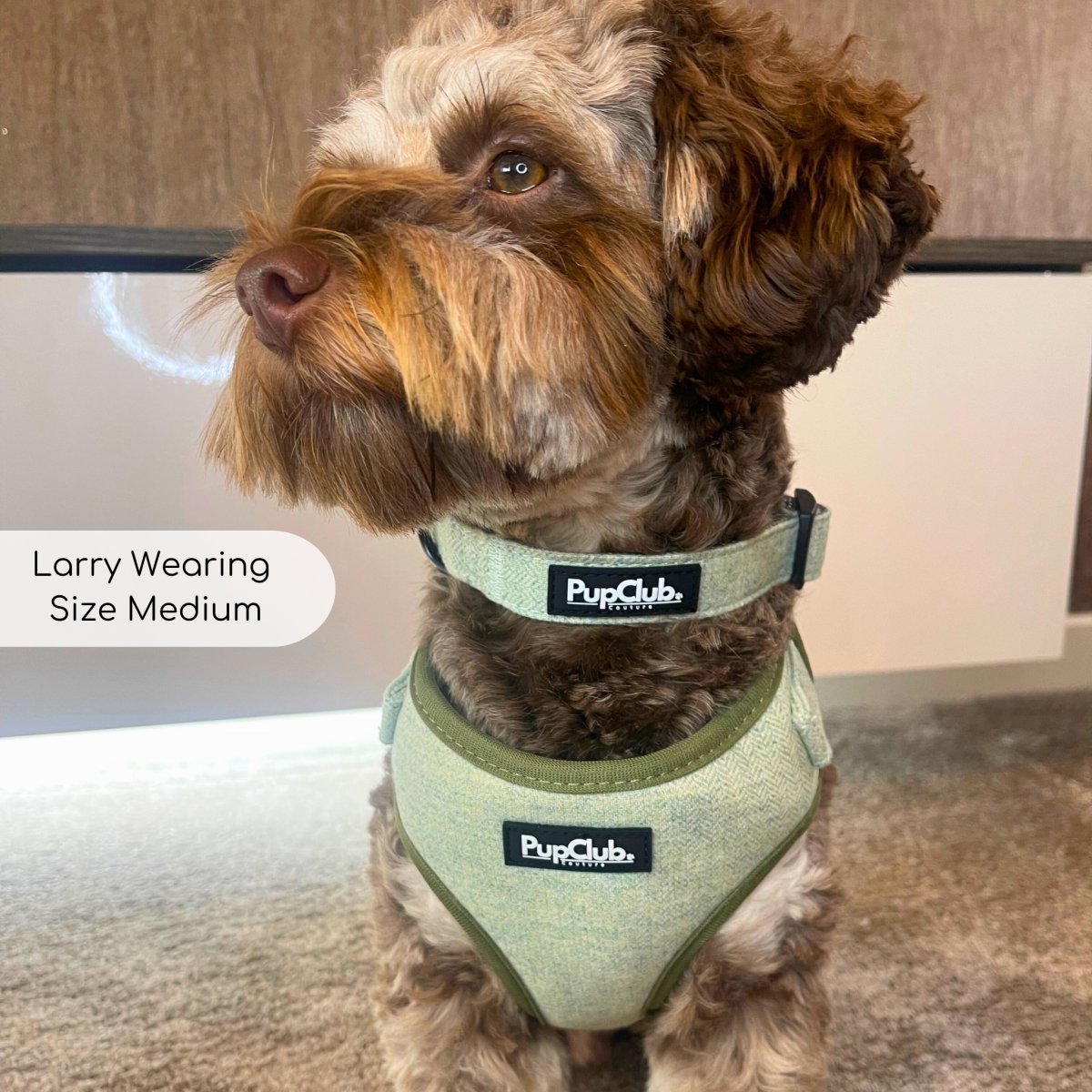 Sage Green Tweed Dog Collar