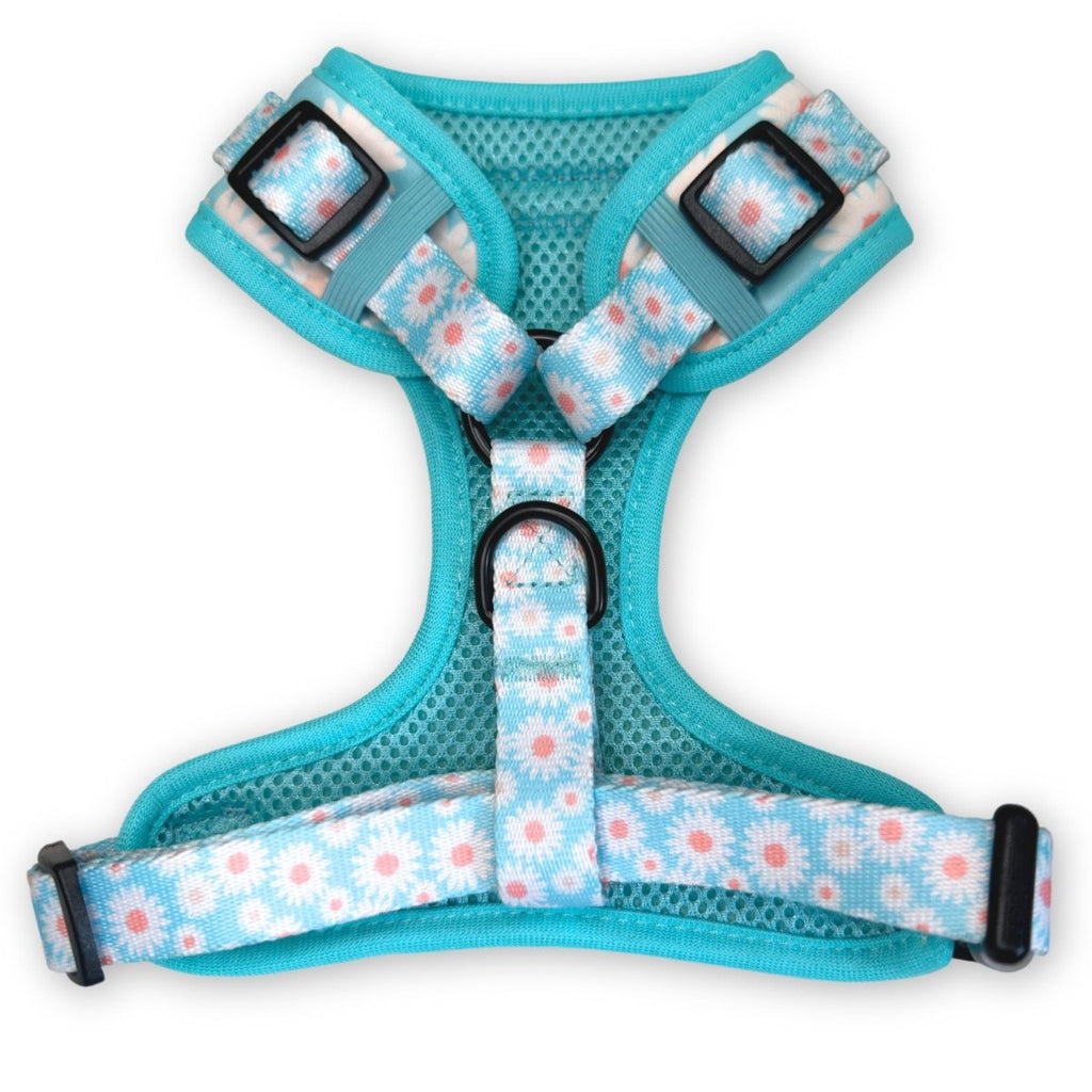 Adjustable Harness in Pastel Daisy