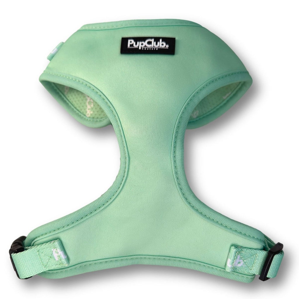 Adjustable Harness in Pastel Mint Green