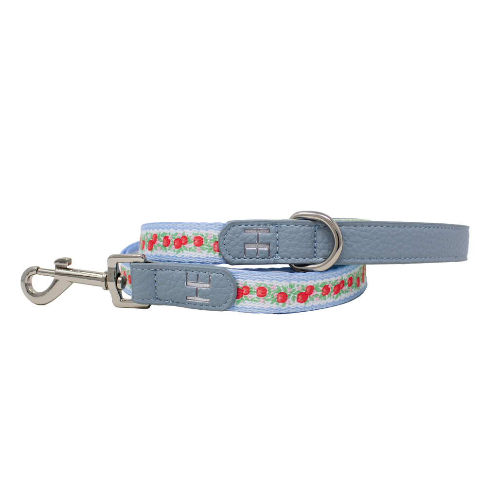 Supaw Strong Dog Harness XS to XL