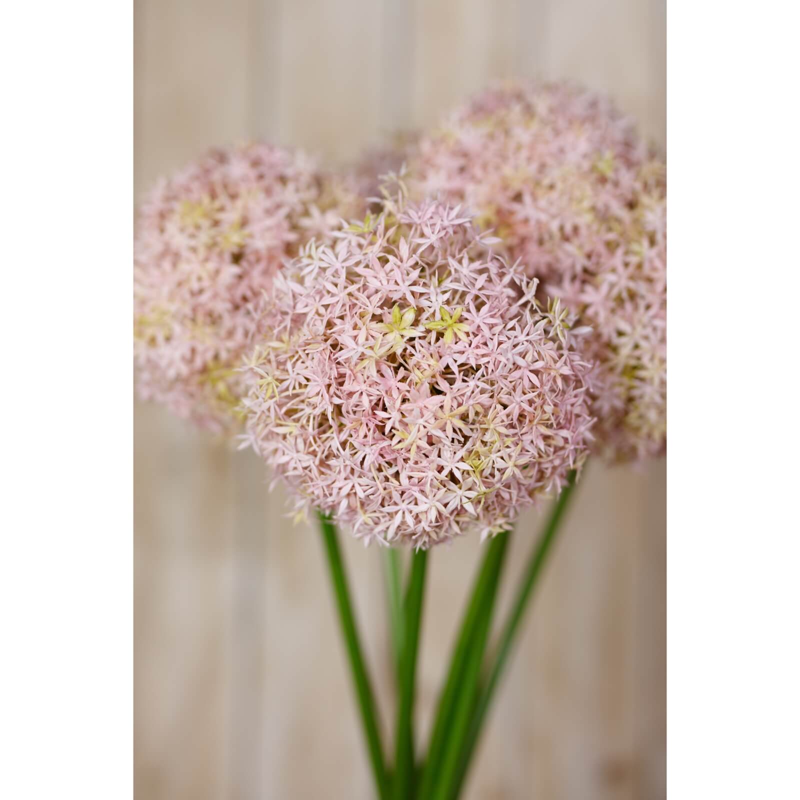 Lilac faux allium stem with spherical bloom, 80cm tall, soft purple hue, perfect for farmhouse or boho decor. by sostter at brixbailey.com