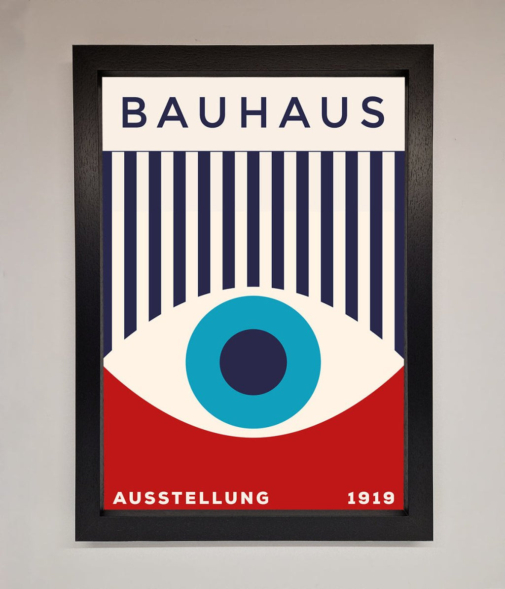 Red and Blue Eye Framed Wall Art