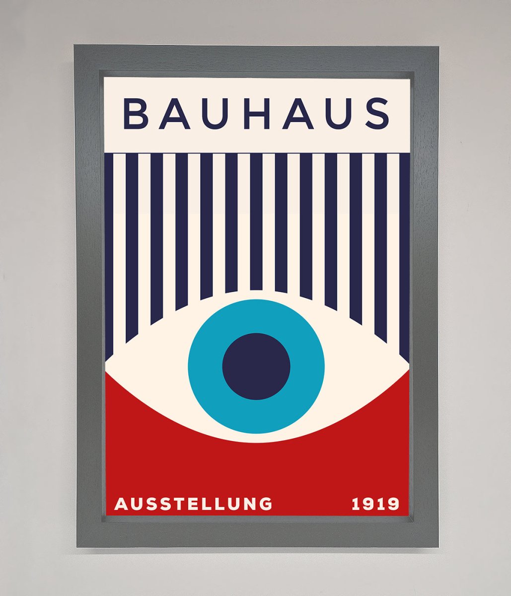 Red and Blue Eye Framed Wall Art