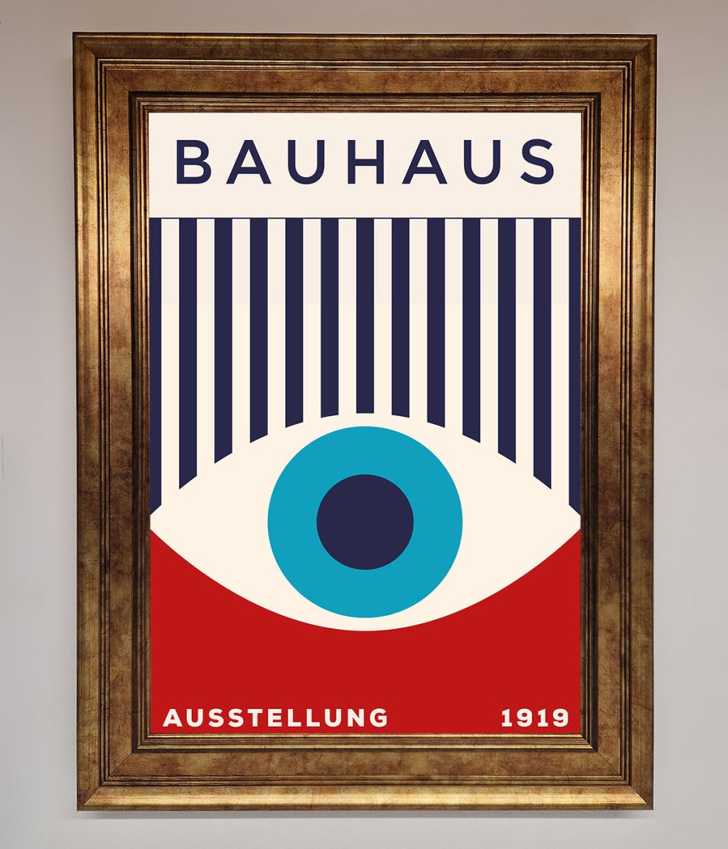 Red and Blue Eye Framed Wall Art