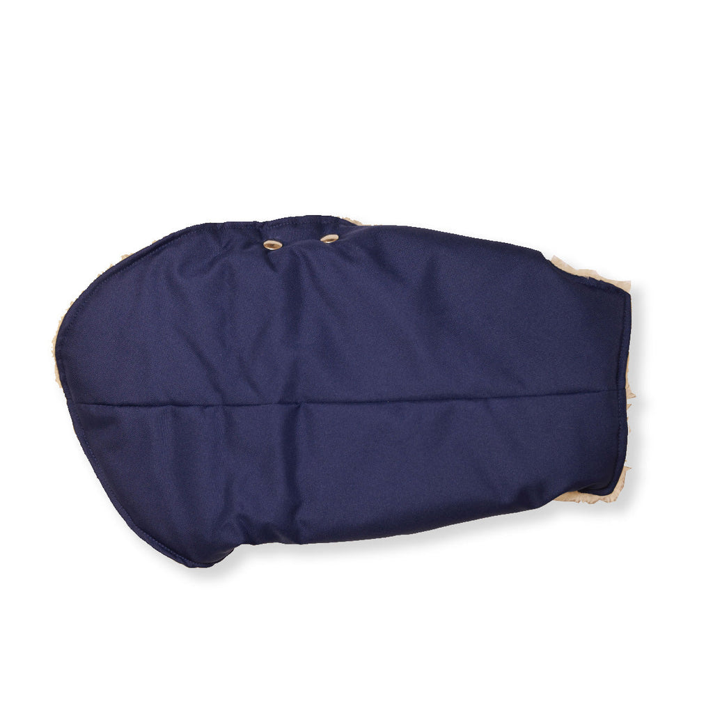 Blue and Beige Teddy Bear Waterproof Dog Jacket