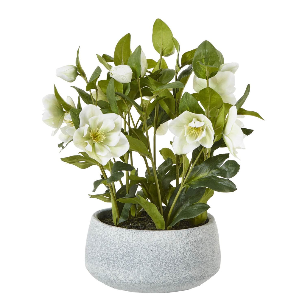 Lifelike faux Hellebore plant with white blooms in grey ceramic pot, 41cm tall, for effortless home decor by sostter at brixbailey.com