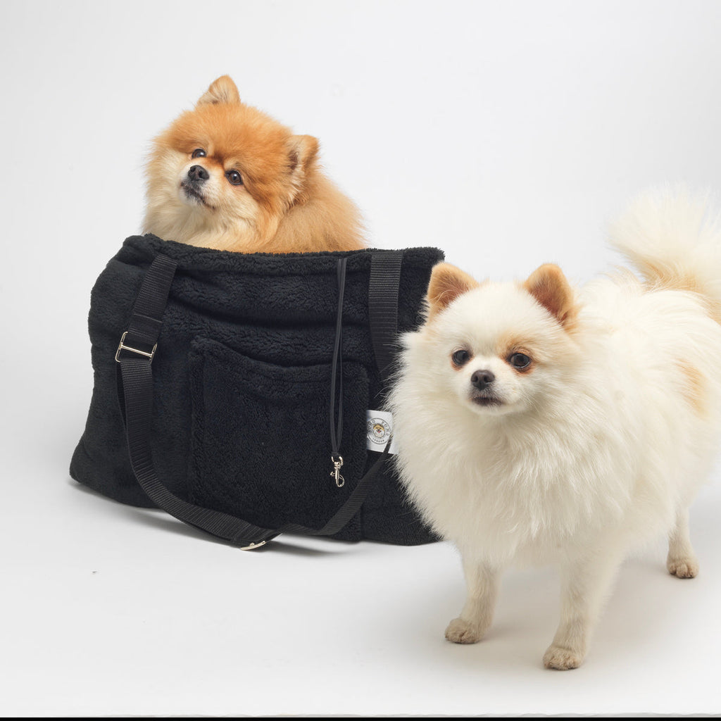 Forest Black Teddy Bear Dog Carrier for Small Dogs
