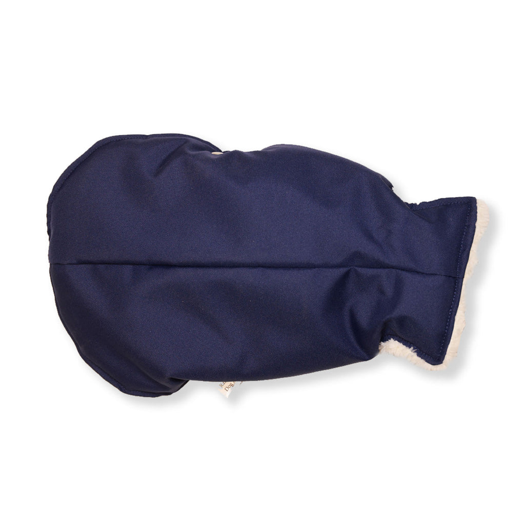 Blue and Ivory Teddy Bear Waterproof Dog Jacket