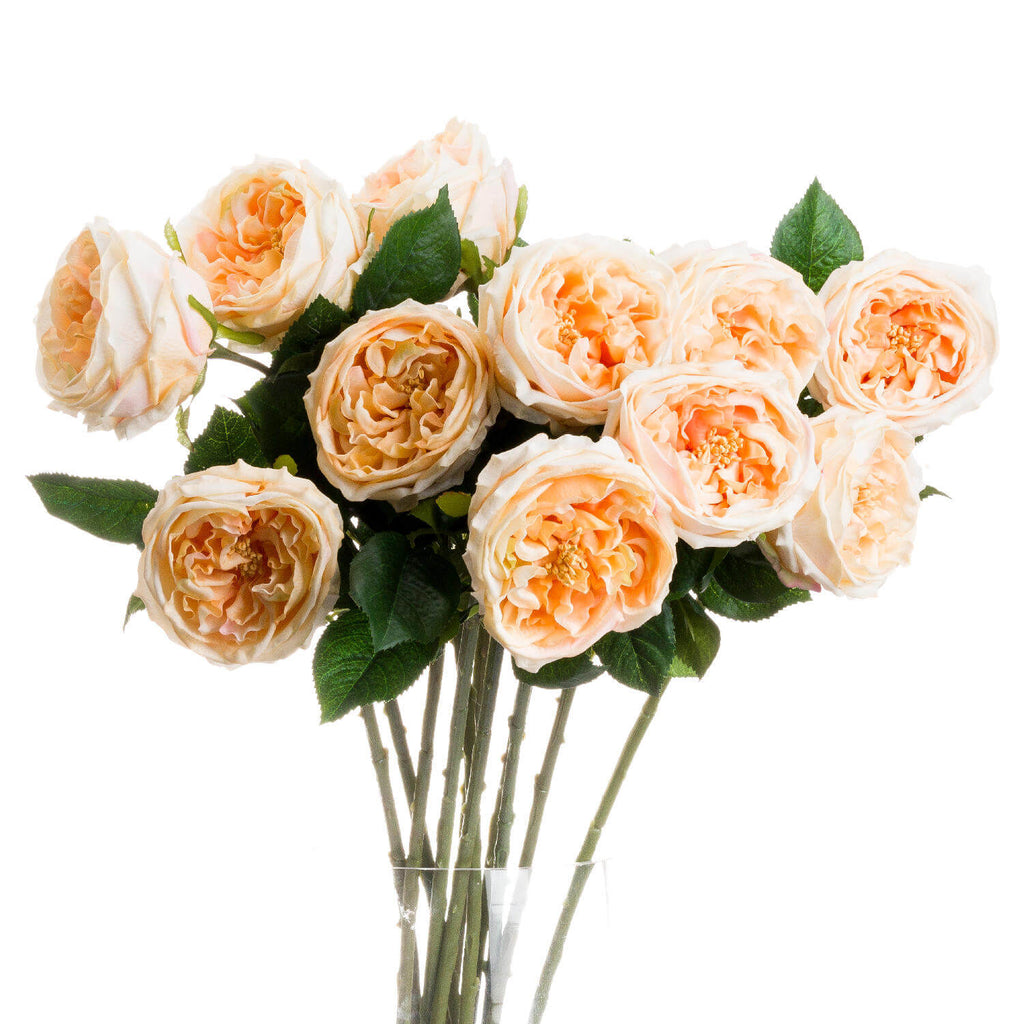 Butter-yellow artificial Portland rose with lifelike petals, natural gradients, and realistic texture for home decor. by sostter at brixbailey.com