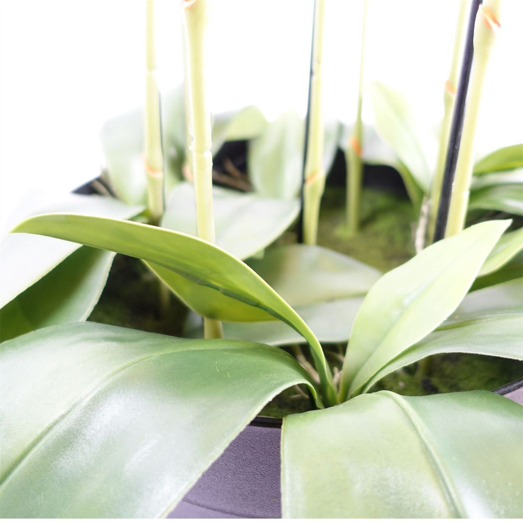 110cm Large White Orchid Plant with 41 Real Touch Flowers