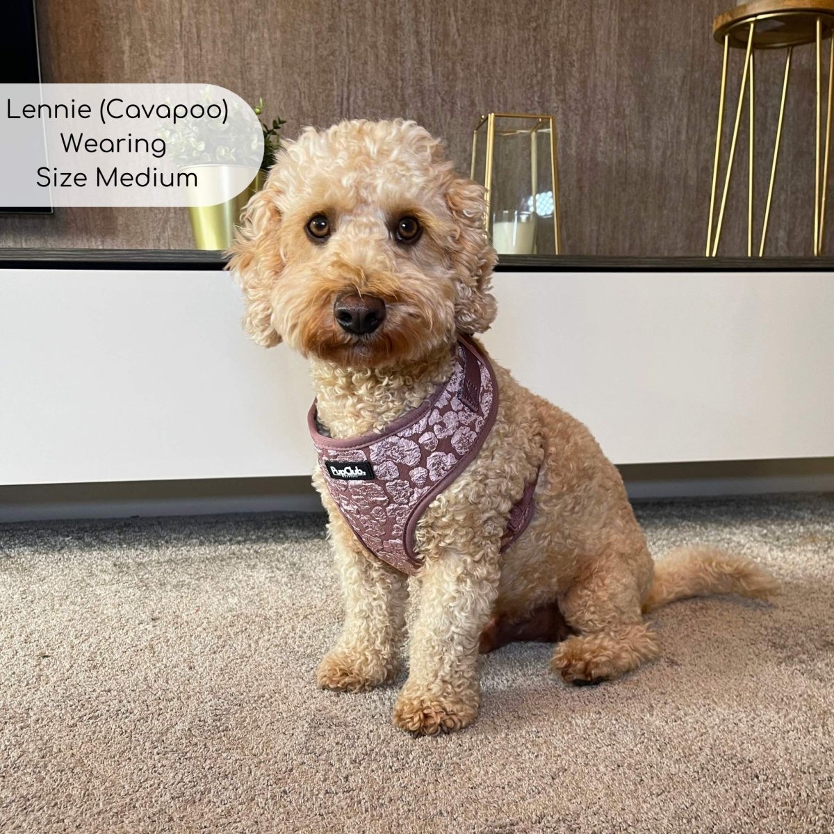 Mocha Petals Adjustable Dog Harness