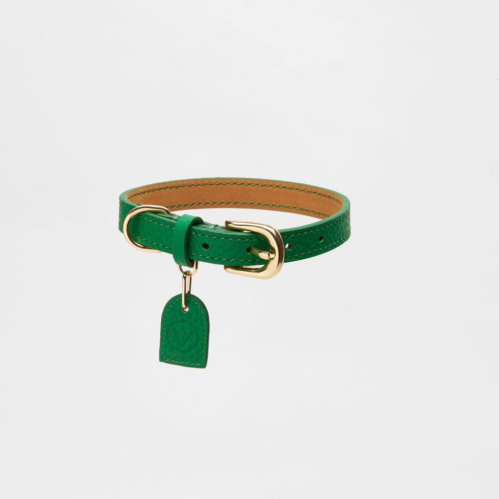 Leather Lead Collar and Pocket Set