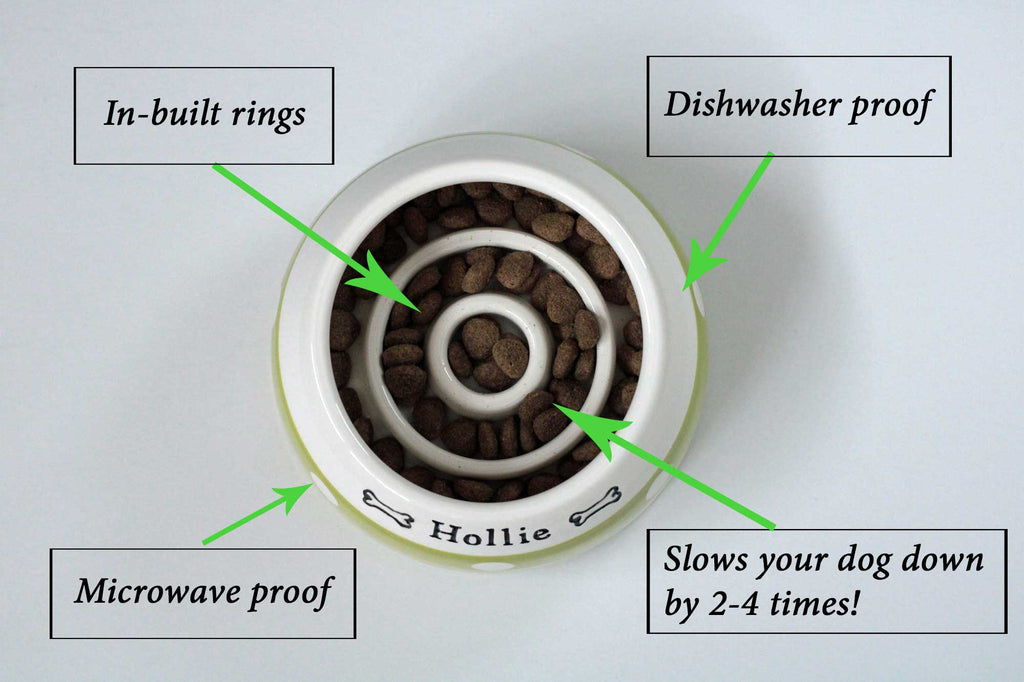 Personalised Ear-Free Cocker Spaniel Dog Bowl – Handmade Ceramic Bowl
