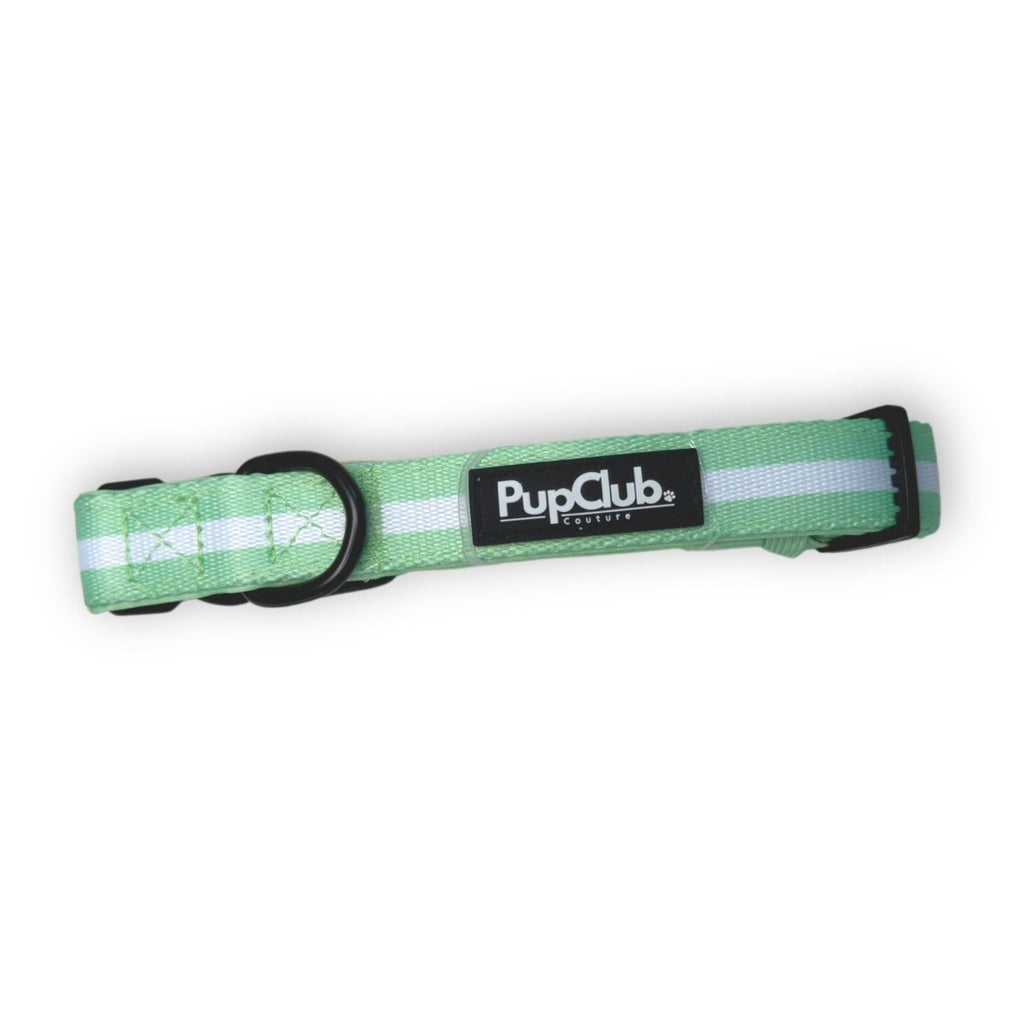 Pastel Mint Collar with White Stripe