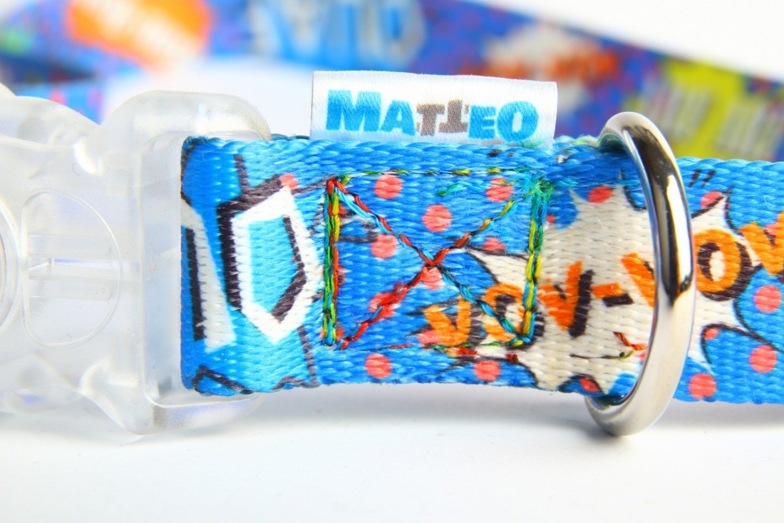elegant blue graffiti led dog collar with illuminated buckle on a stylish pet