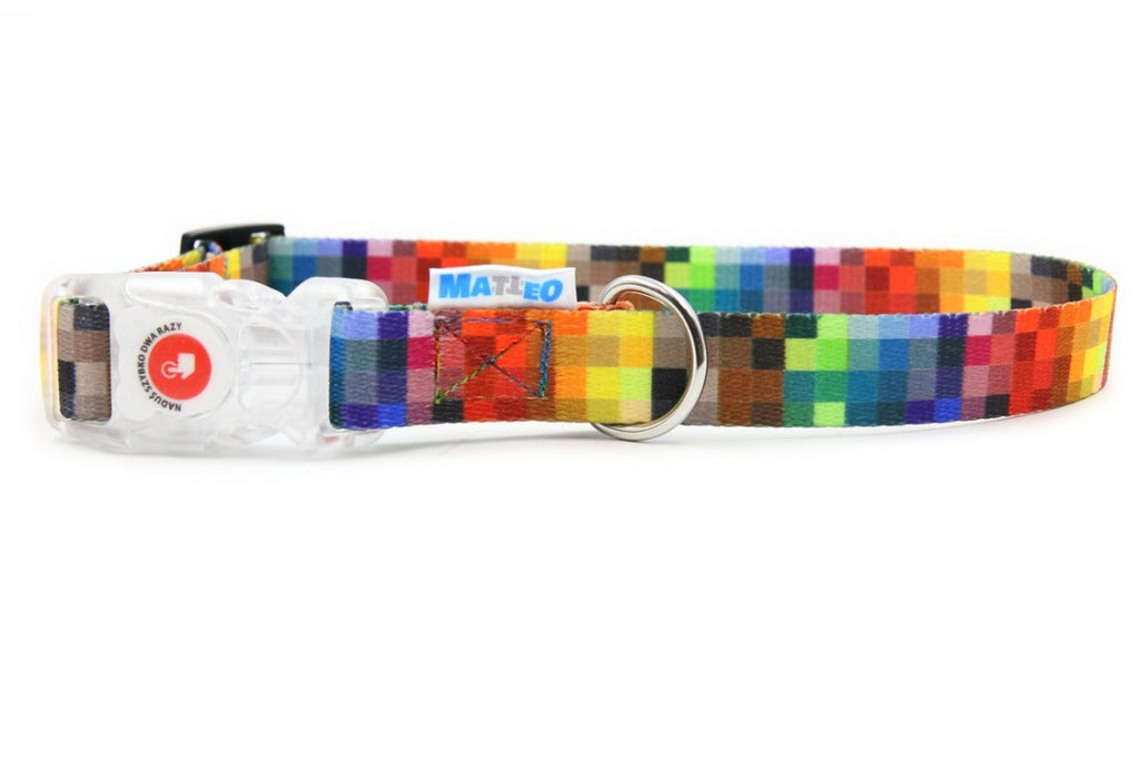 close-up of a waterproof led dog collar showing the durable stitching and stainless steel d-ring