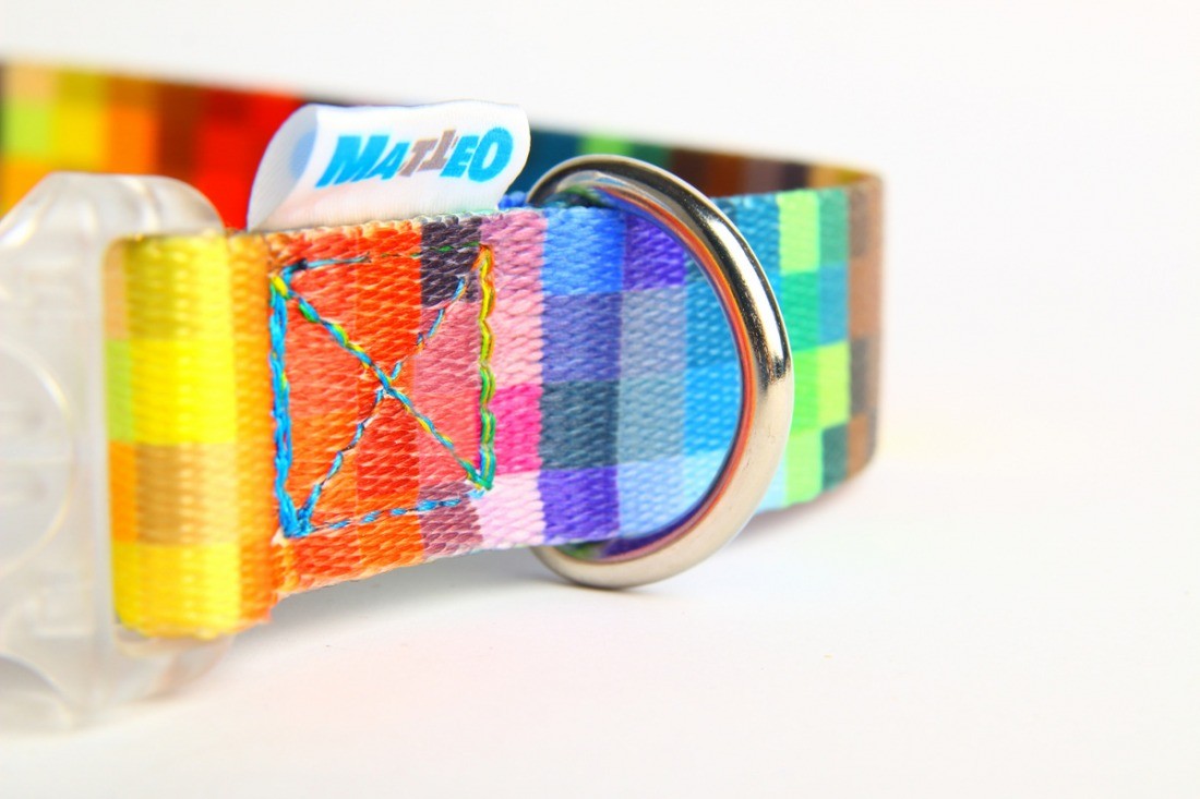 a functional led dog collar with a glowing plastic buckle in a nighttime setting