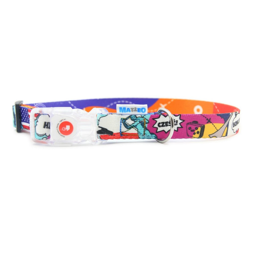 functional led dog collar with illuminated buckle and stainless steel d-ring for secure nighttime walks