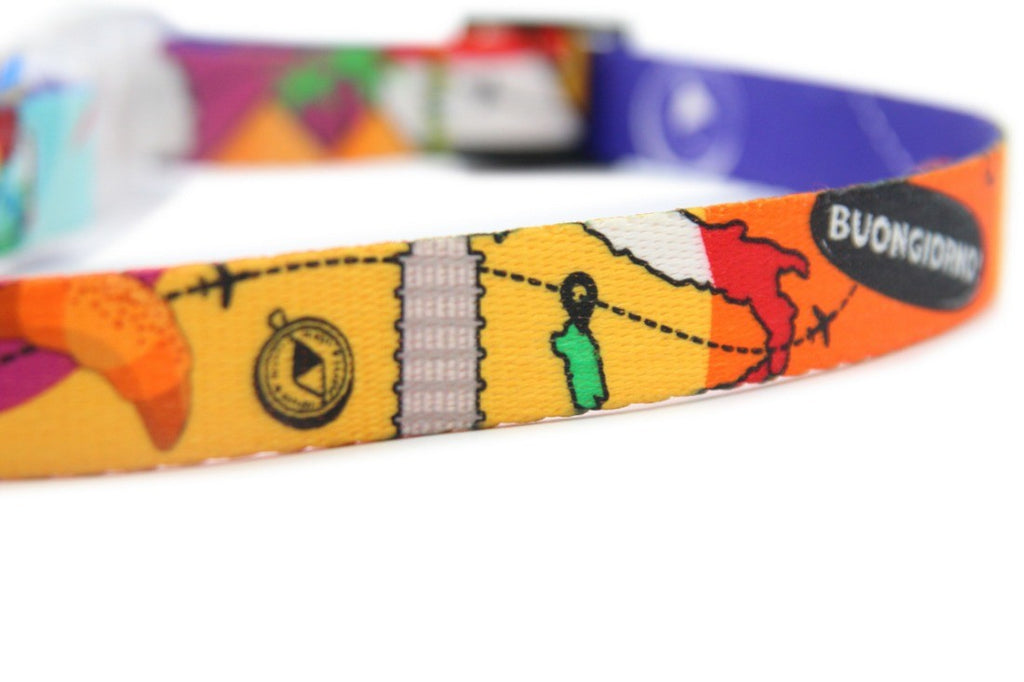 led waterproof dog collar with glowing buckle in a misty nighttime setting