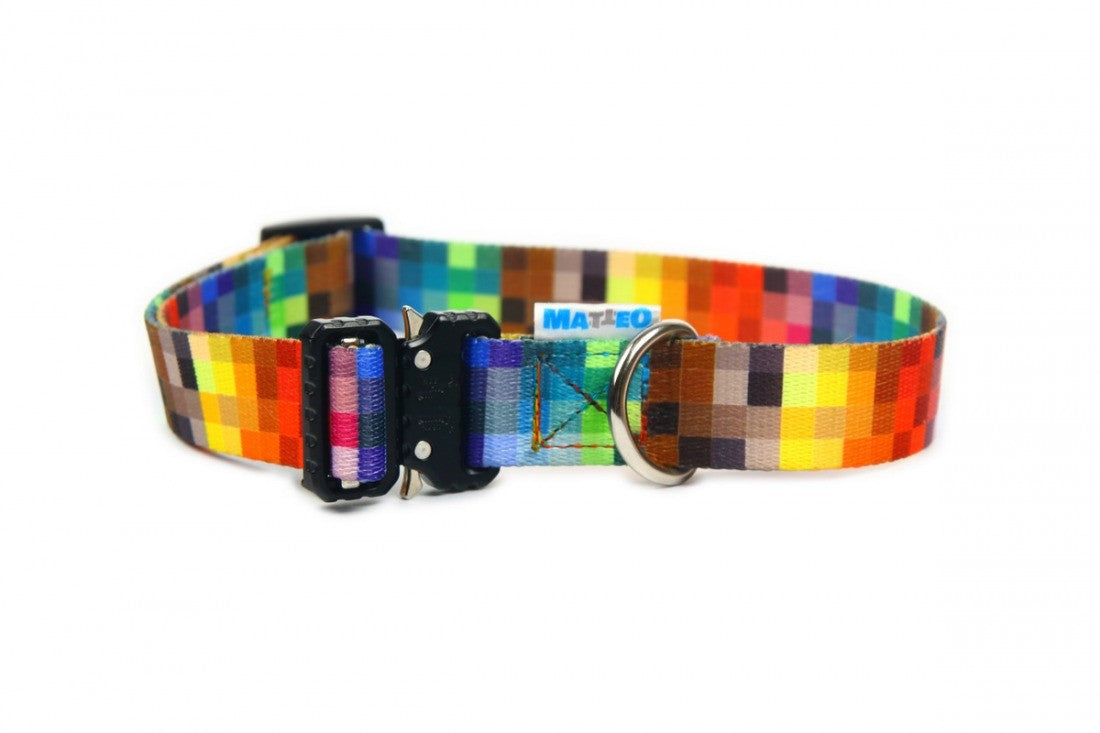 close-up of the durable metal buckle on a matteo pet collar