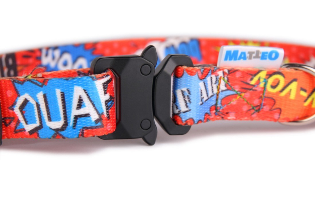 a playful dog modeling the red graffiti collar with its shiny metal buckle in a sunlit park