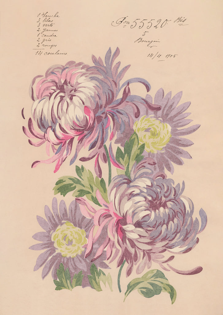 No.107 Connie Blooms 1905 Vintage Archive Poster Print