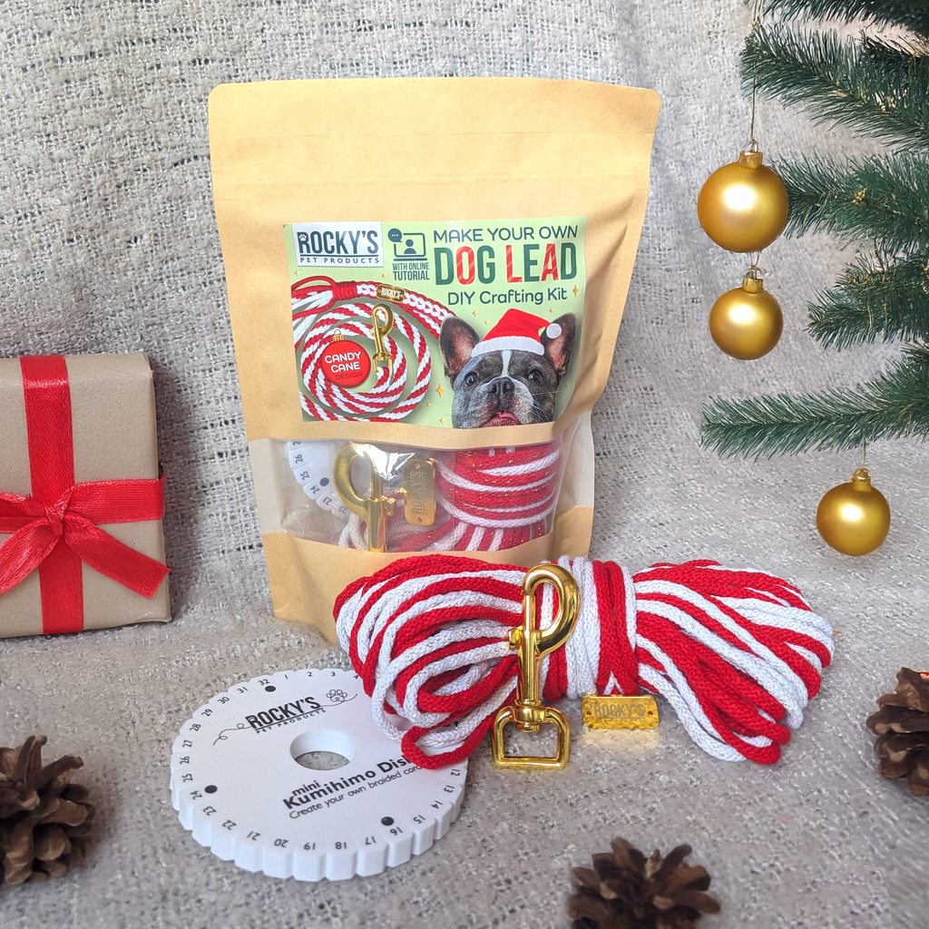 Make Your Own Dog Lead Craft Kit in Candy Cane Sparkle