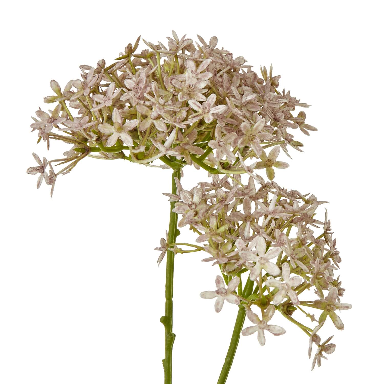 Lilac Crown Hydrangea artificial stem with lifelike soft purple blooms, perfect for home decor by sostter at brixbailey.com