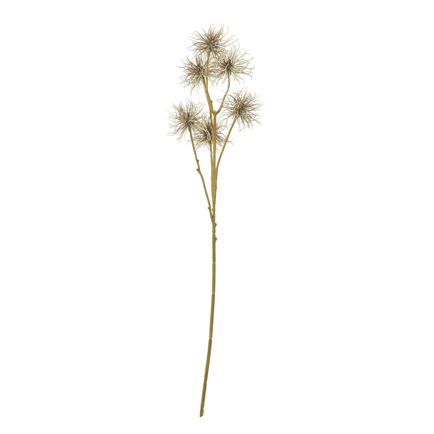 Brown xanthium spray faux floral with wispy blooms, 81 cm tall, for farmhouse or modern decor  

**  
- **Keywords included:** brown xanthium spray, faux floral, wispy blooms, farmhouse decor, modern decor  
- **Clear description:** Visually describes the product's color, texture, and style  
- **SEO & accessibility optimized:** Concise yet detailed for both search engines and screen readers by RoomLondon at brixbailey.com