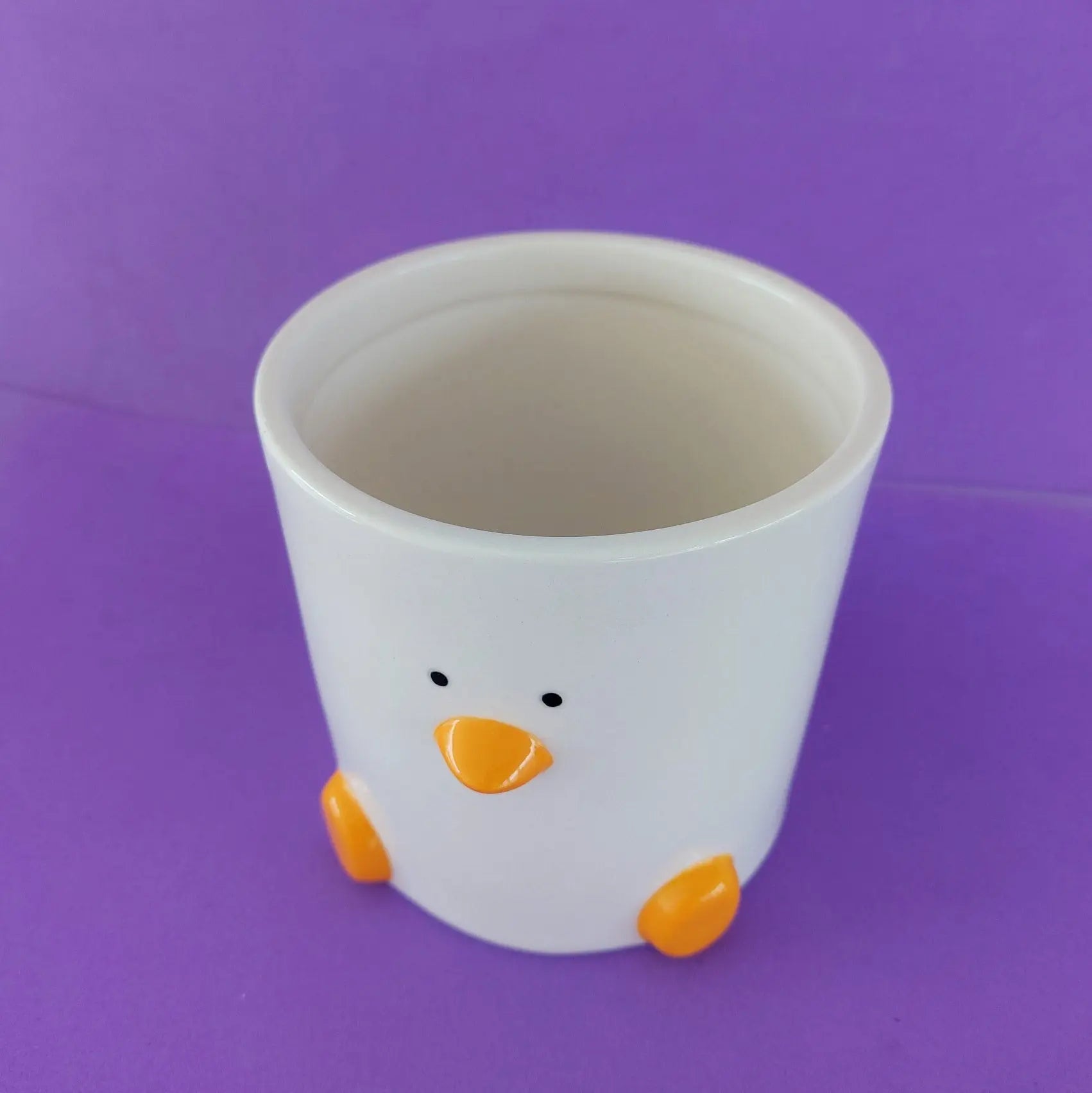 Duck Plant Pot 12cm with Drainage