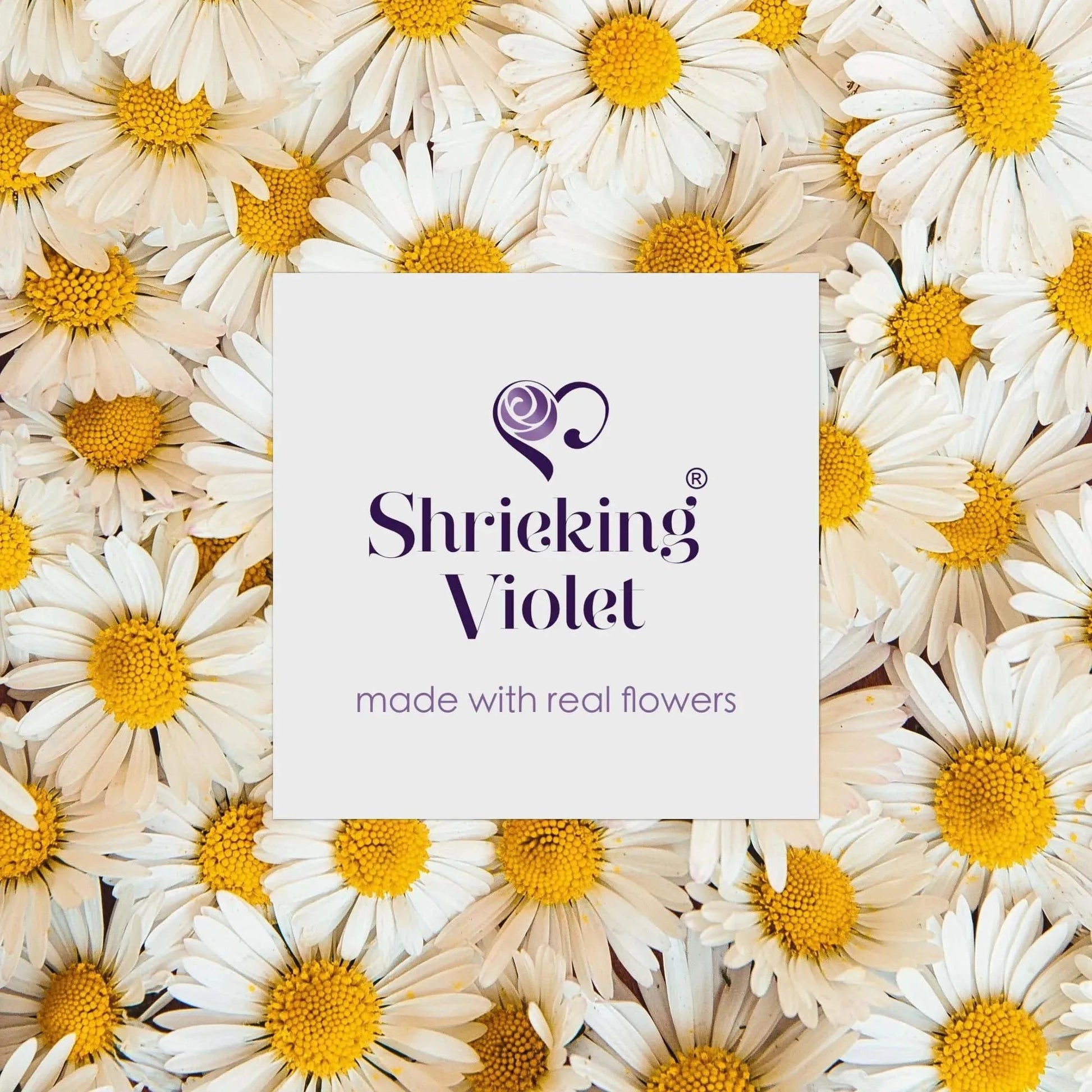 Sterling Silver Daisy Cufflinks with Real Preserved Flowers