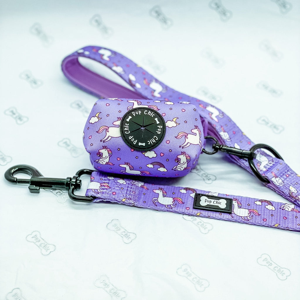 Daydreams and Unicorns 5ft Dog Lead