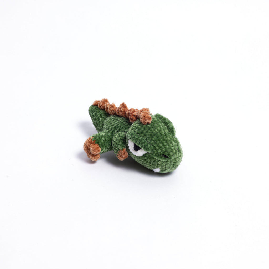 Crocodile Leather Accessory