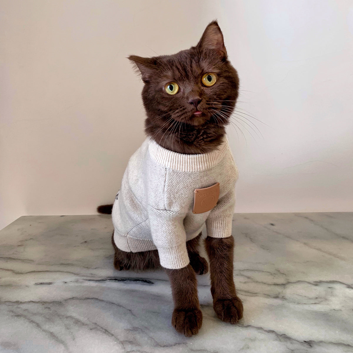 Apricot DLMU Jumper