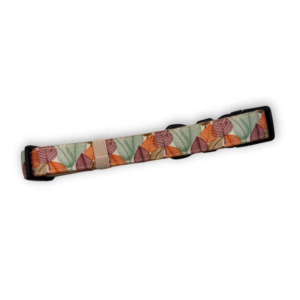 Autumn Breeze Dog Collar