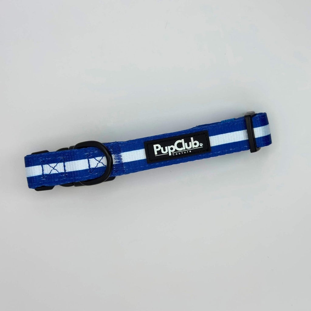 Royal Blue Dog Collar with White Stripe