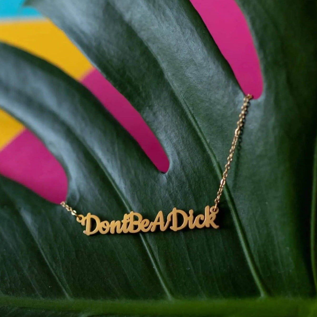 Gold necklace with 'Don't Be A Dick' pendant on a colorful leaf background