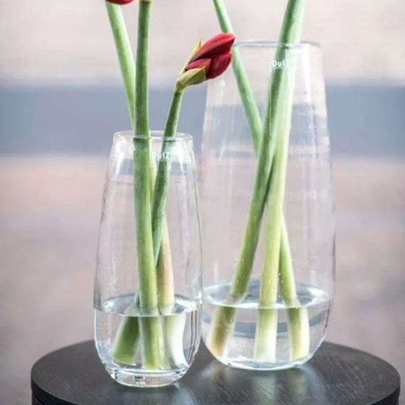 Robert Clear Glass Vase