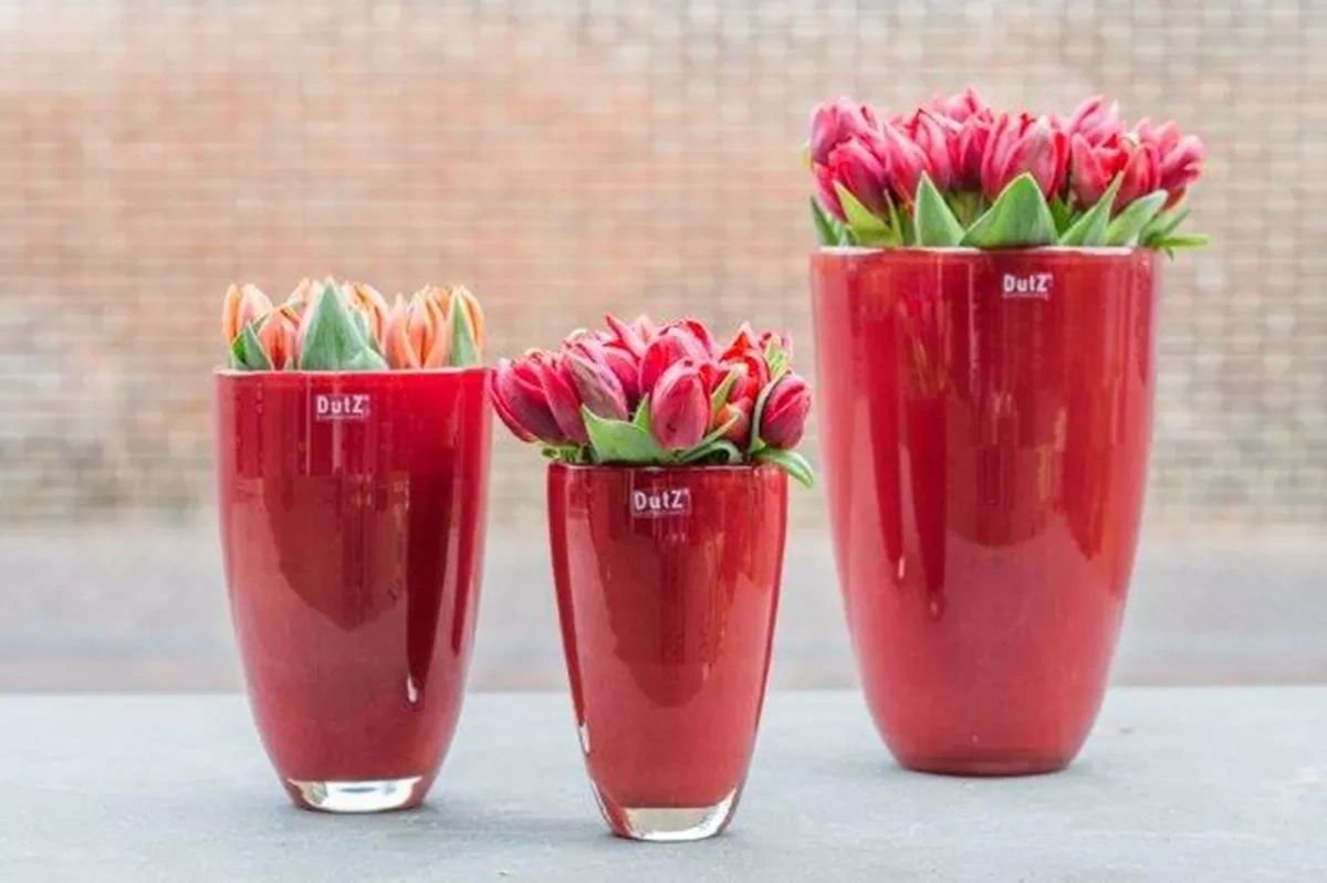 Red Conic Flower Vase Mouth Blown Glass