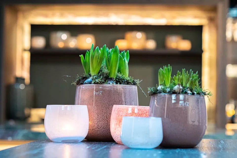 Glass Pot in Beige