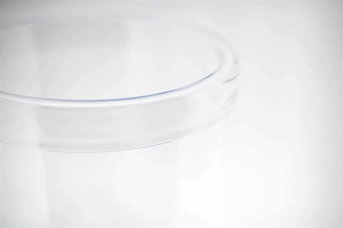 Hand Blown Hurricane Clear Glass Vase