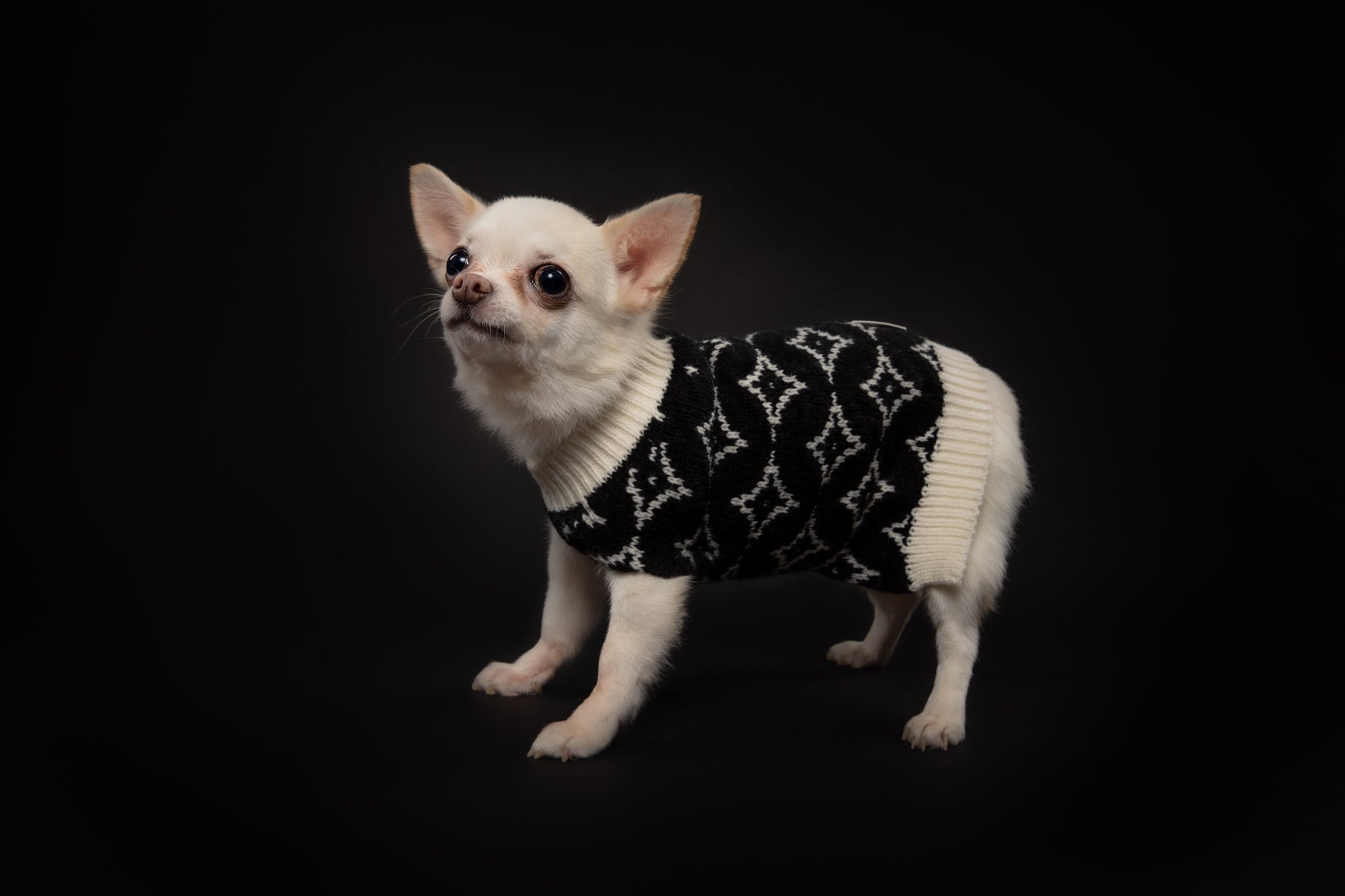 You Are Not Alone Sleeveless Jumper with Floral Pattern