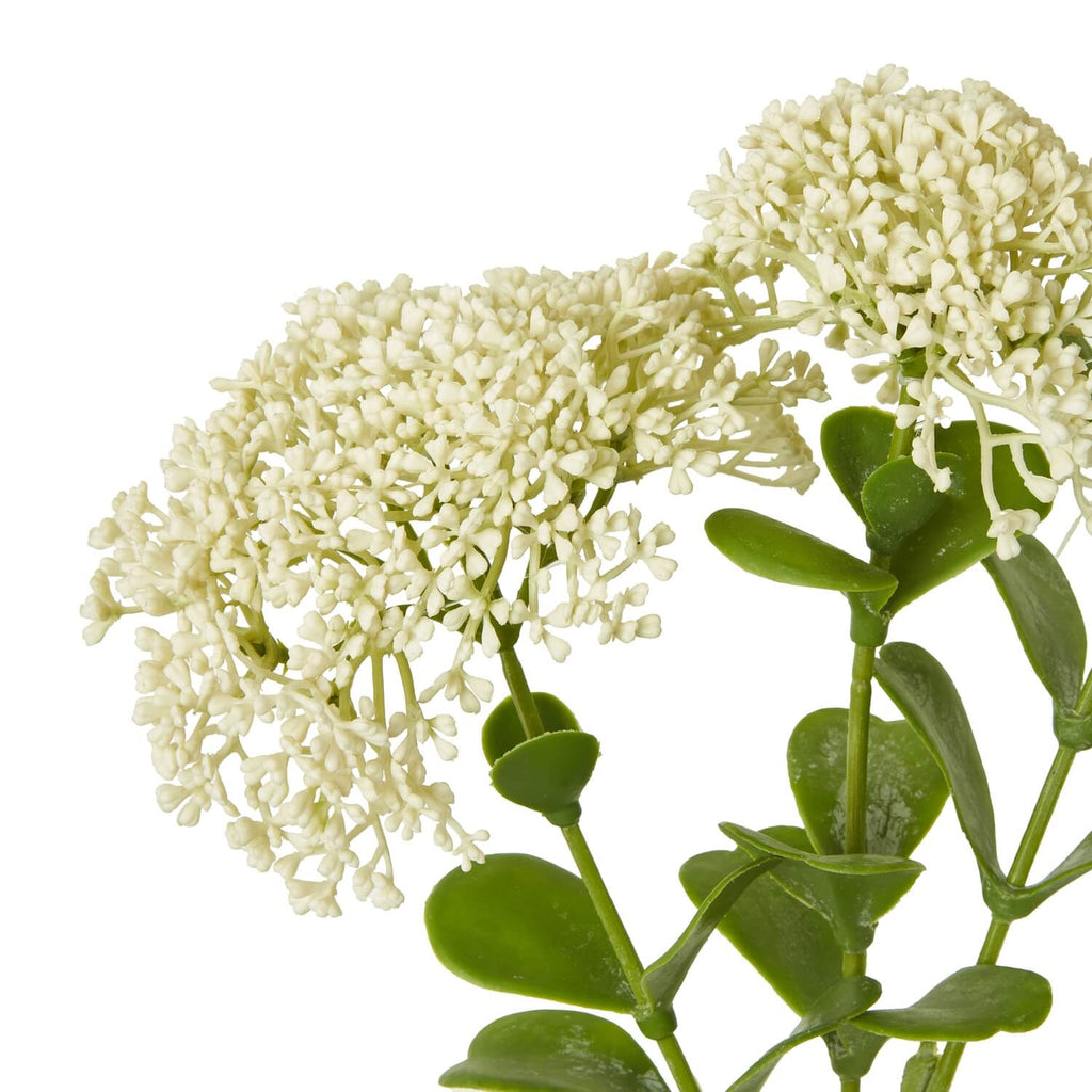 Cream Sedum Spray faux succulent with realistic clustered blooms, soft cream plastic floral decor, 58 cm tall by sostter at brixbailey.com