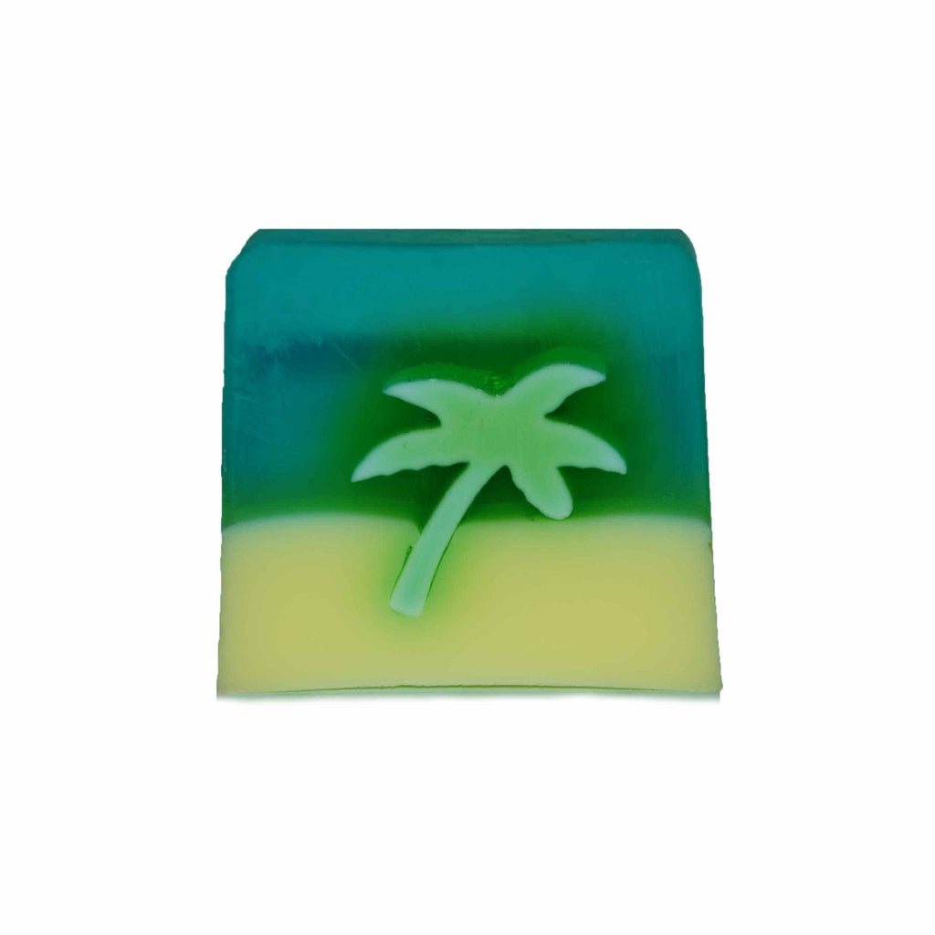 Summer Shower Gel Bar Soap Collection