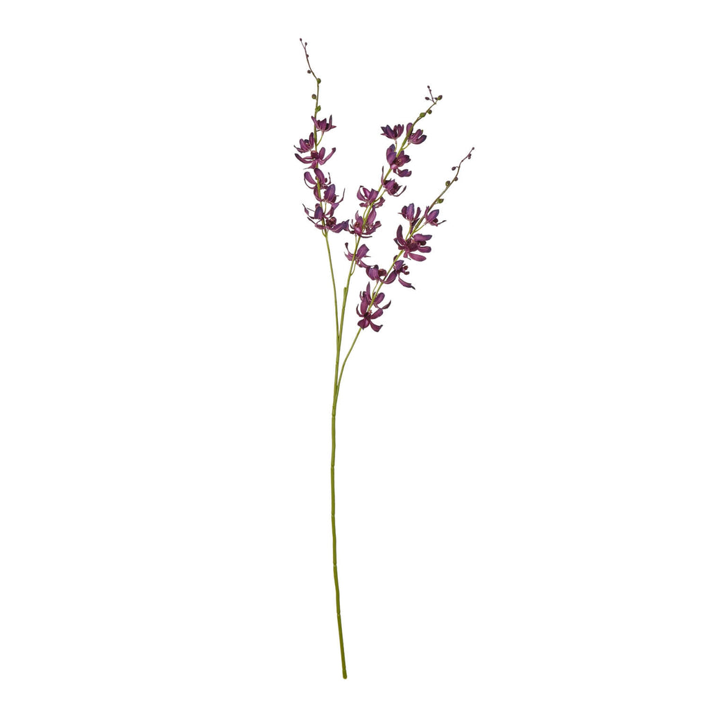 Purple cymbidium spray floral arrangement with lifelike orchid blossoms in rich purple, cascading stems, and velvety petals. by Sostter at brixbailey.com