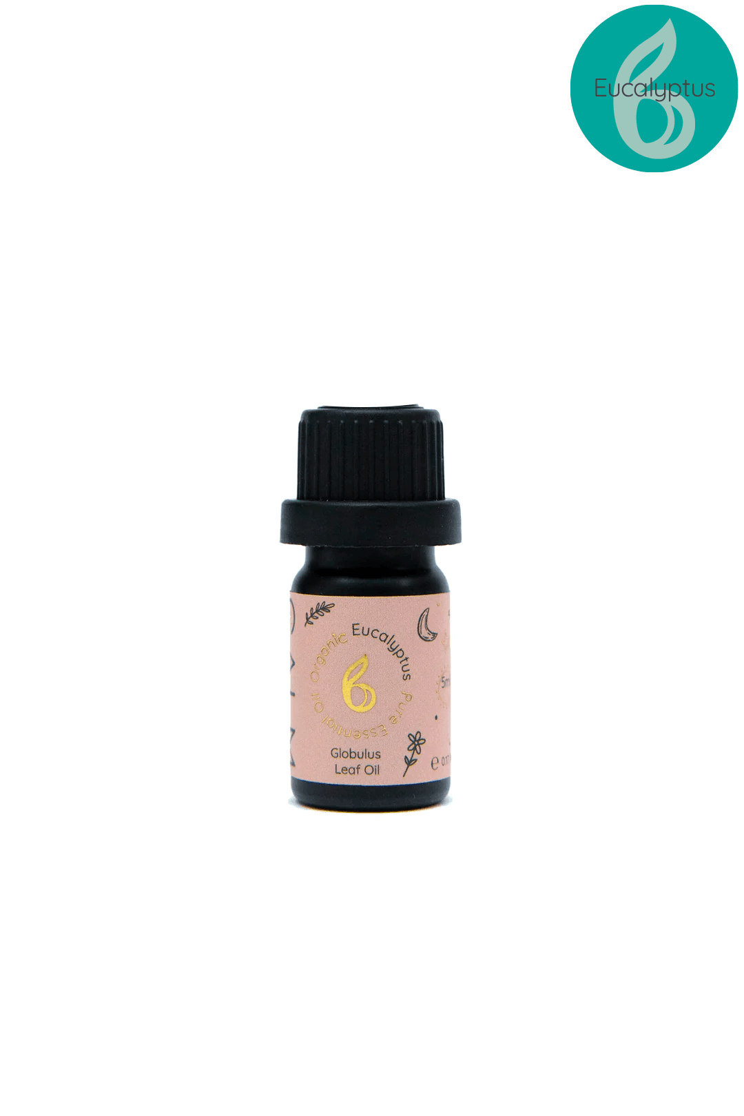 Geo Cut Glass Aroma Diffuser with Live Calm Essential Oil Set