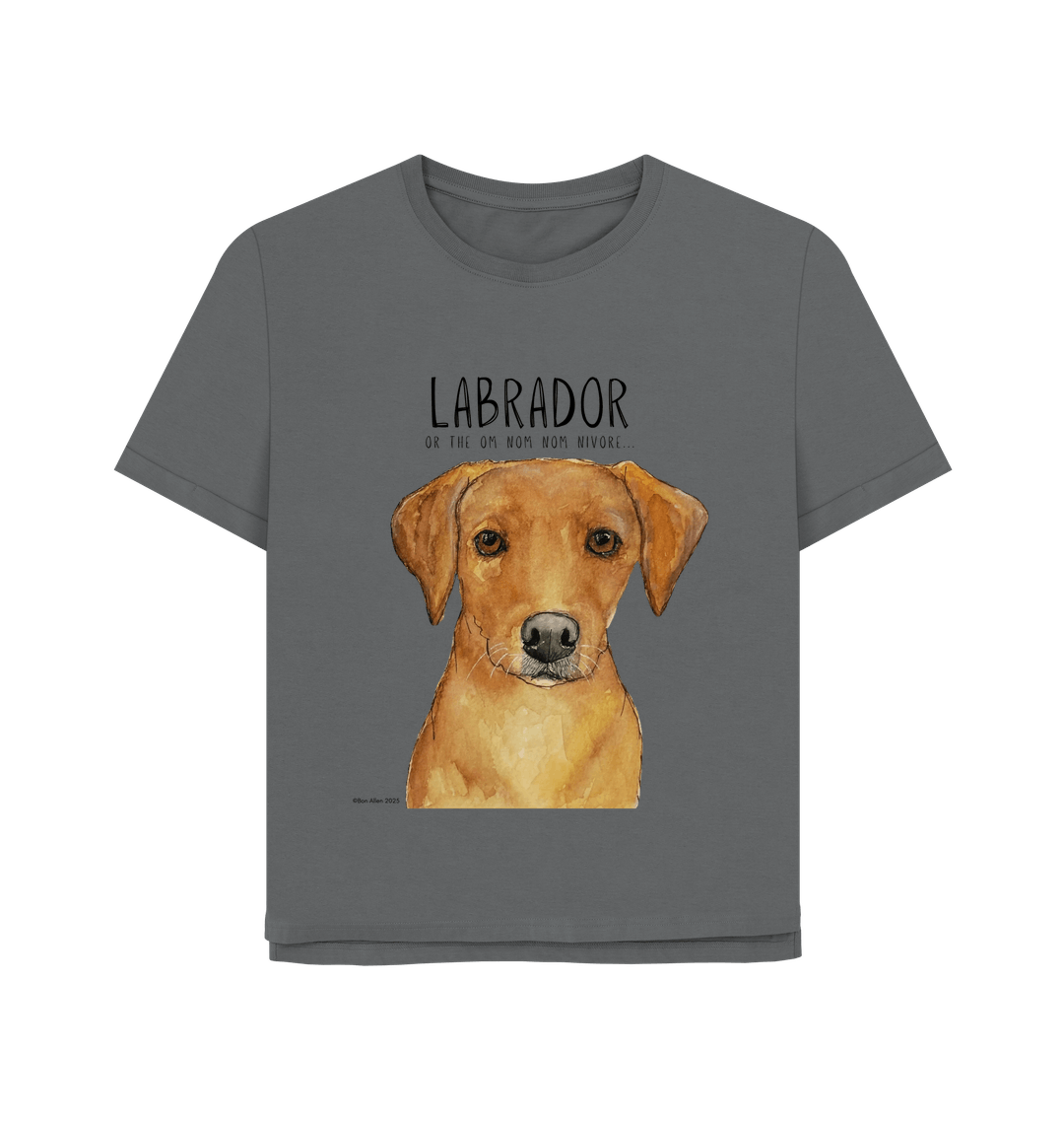Feed Me Snacks and Compliments Red Labrador Relaxed Fit Tee