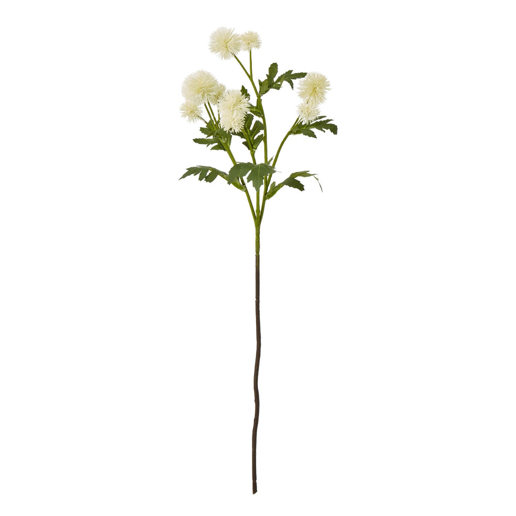 Handcrafted cream faux globe thistle spray with lifelike texture, green accents, and 56cm height for elegant home decor. by Sostter at brixbailey.com