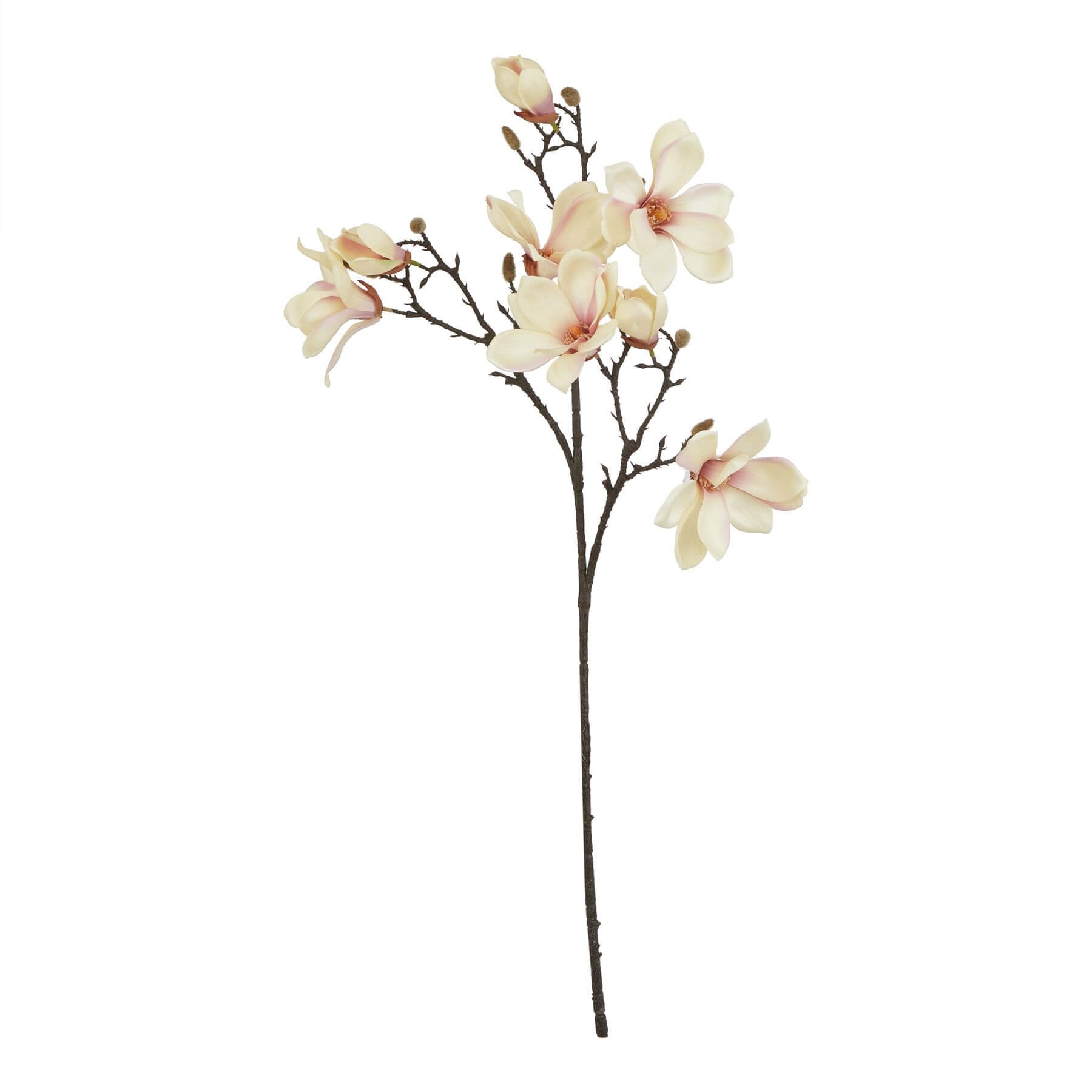 Lifelike pale apricot faux magnolia stems with velvety petals and realistic stamens for home decor by sostter at brixbailey.com