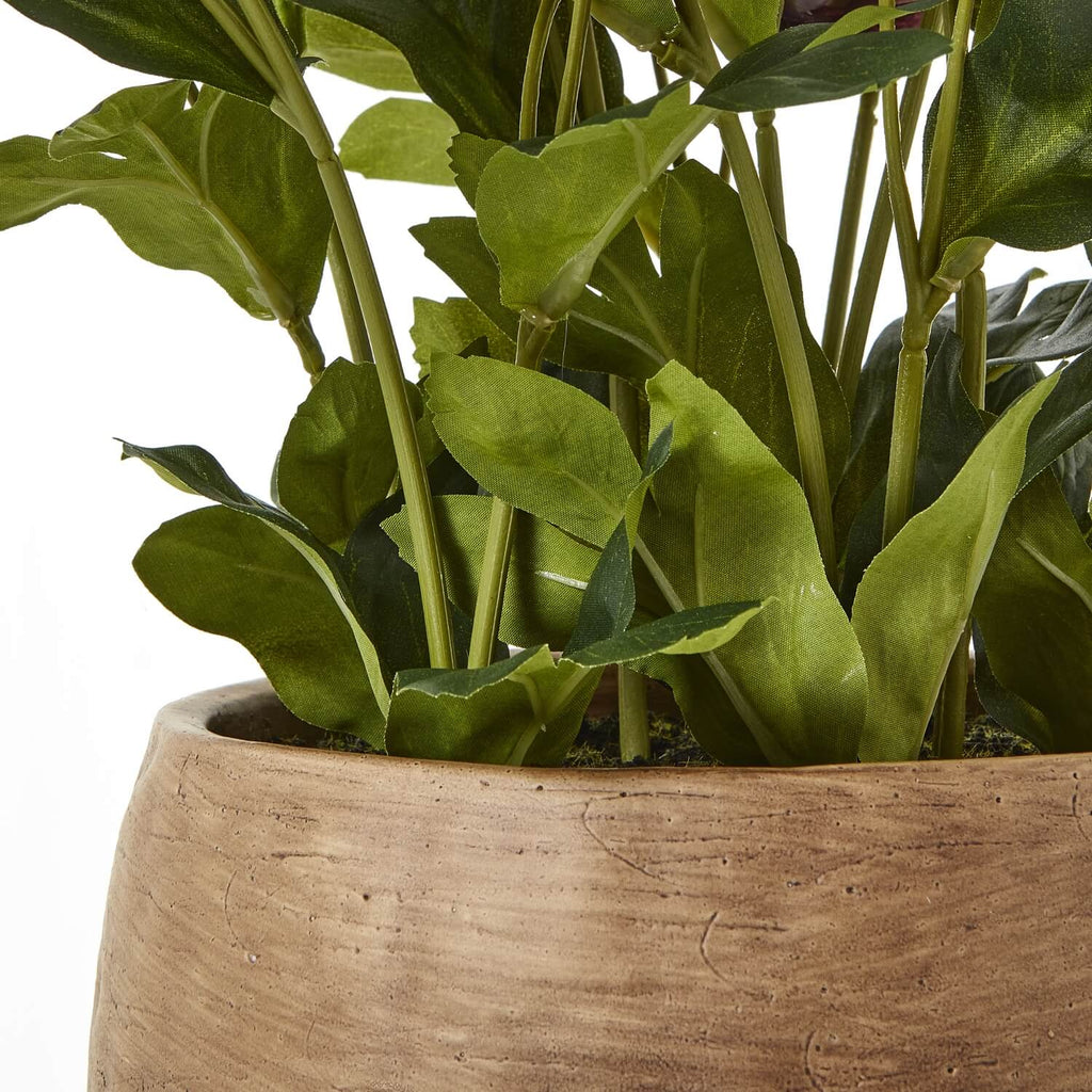 Lifelike faux plum hellebore plant in taupe ceramic pot, ultra-realistic blooms and foliage for home decor by sostter at brixbailey.com